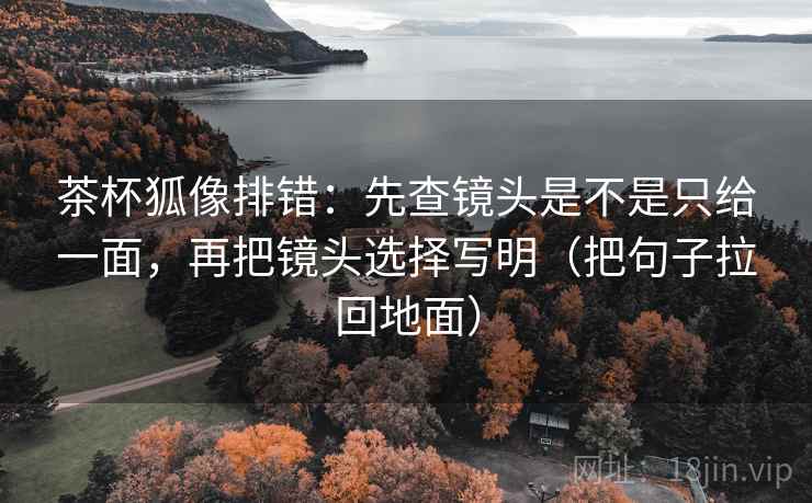 茶杯狐像排错：先查镜头是不是只给一面，再把镜头选择写明（把句子拉回地面）